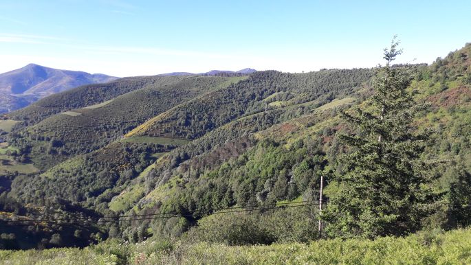 El camino, Francia Út, O Cebreiro kilátás