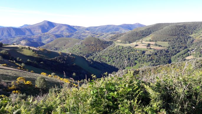 El camino, Francia Út, galíciai táj