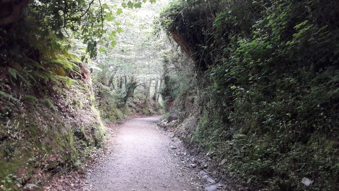 El Camino, Francia Út, Galícia, út