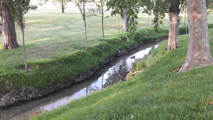 El camino, Pamplona, park