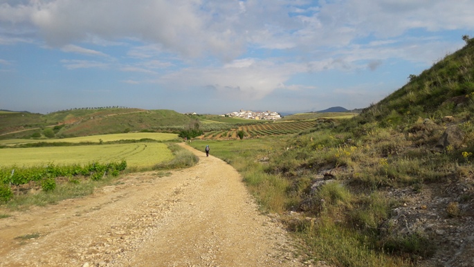 El Camino, Francia Út, gyalogút, a távolban Cirauqui