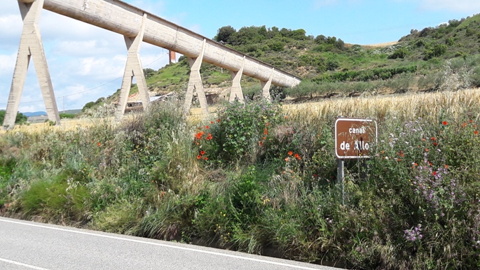 El Camino, Francia Út, a Canal de Alloz 2016. júniusban