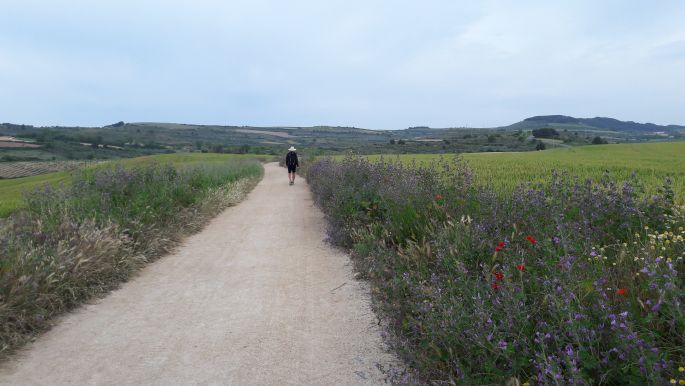 El camino, tipikus út