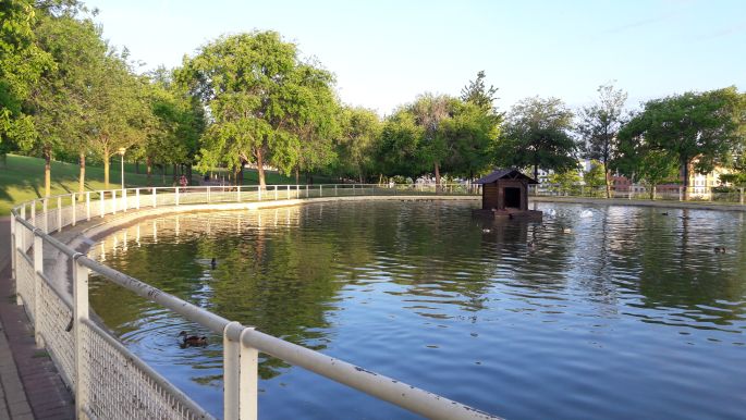 El Camino, Francia Út, Logrono, park halastóval