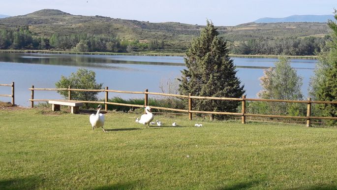 El Camino, Francia Út, A Logrono határában lévő víztározó