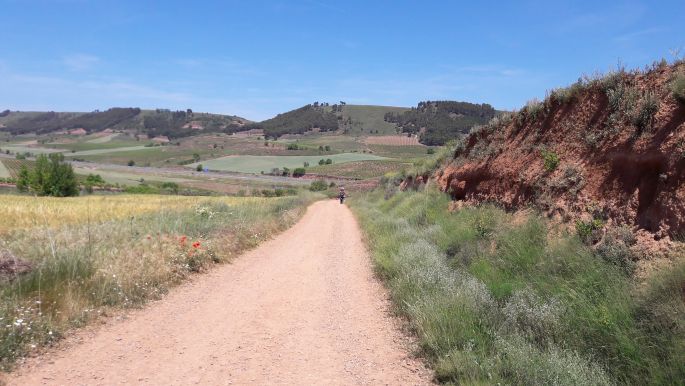 El camino, Francia Út, az út