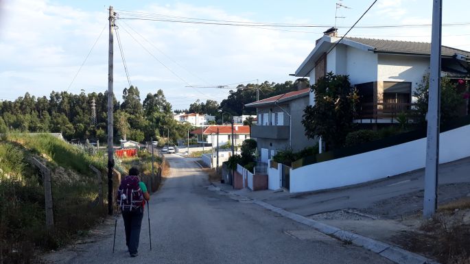 Portugál camino, aszfaltút