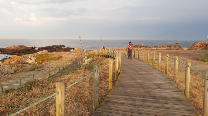 Portugál Camino de la Costa, deszkapallók