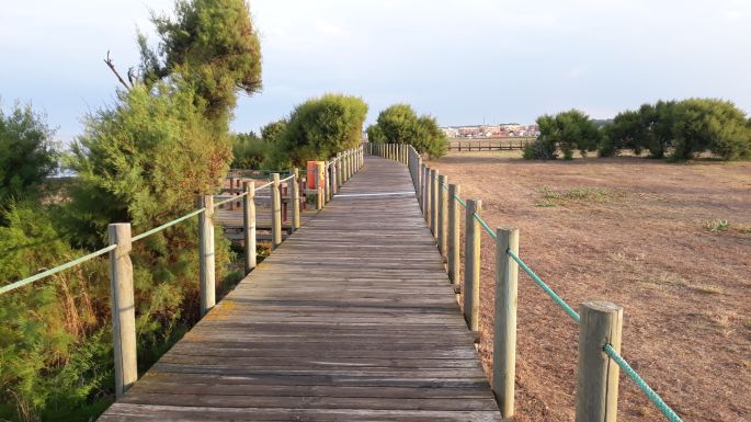 Portugál Camino de la Costa, deszkapallók