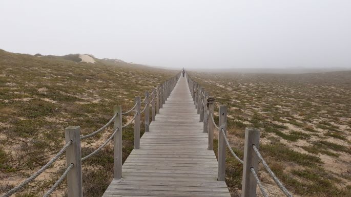 El Camino Costa, Portugál parti út, fapallók