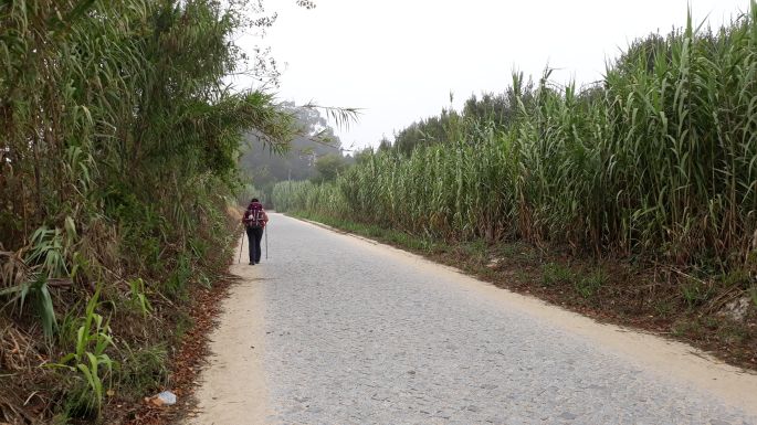 El Camino Costa, Portugál parti út, köves út