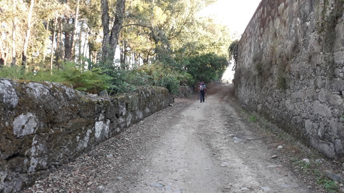 Portugál Camino Costa, kellemes földút