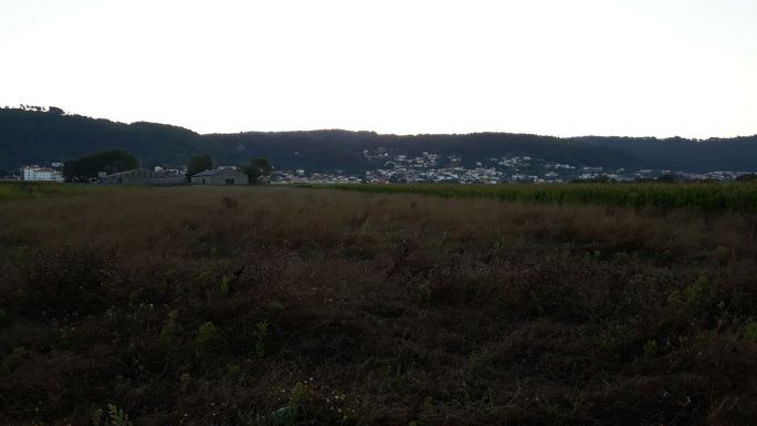 Portugál Camino Costa, az óceánnal párhuzamos domb és a napfelkelte, csak nem látszik, pedig ott van! :-)