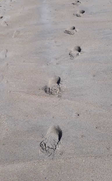 Portugál Camino Costa, Erika lábnyoma a homokban szandálban