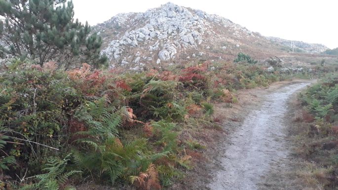 Portugál Camino Costa, köves úton felfelé a hegyre