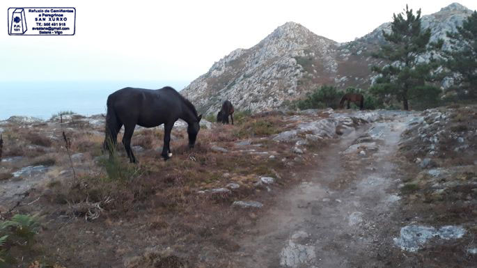 1_el_camino_portugal_ut_lovak.jpg