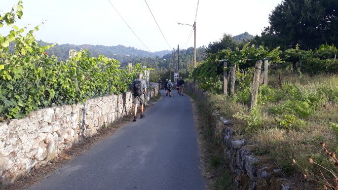 Portugál Camino, az út szőlőskertek között