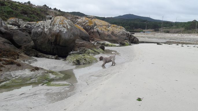 Muxia, a homokos part apálykor, ahol Péter kutyája felfedezte a patakot