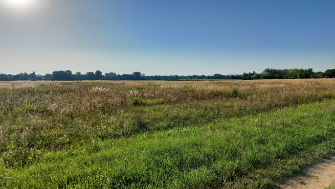 Balaton túra, még alig kelt fel a nap, de már forróság van!