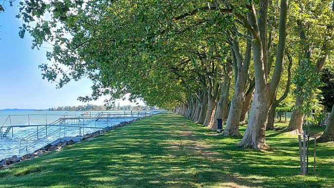 Balaton túra, Balatonboglár, Jankovics strand és az árnyas platánsor