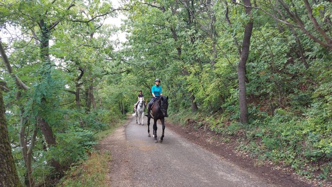 El Camino helyett Balaton túra - Tihanyi félsziget, lovasok