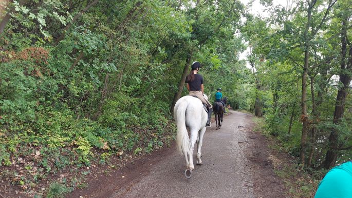 El Camino helyett Balaton túra - Tihanyi félsziget, lovasok