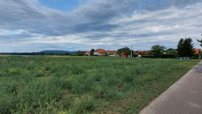 El Camino helyett Balaton túra - visszatekintve Aszófő felé