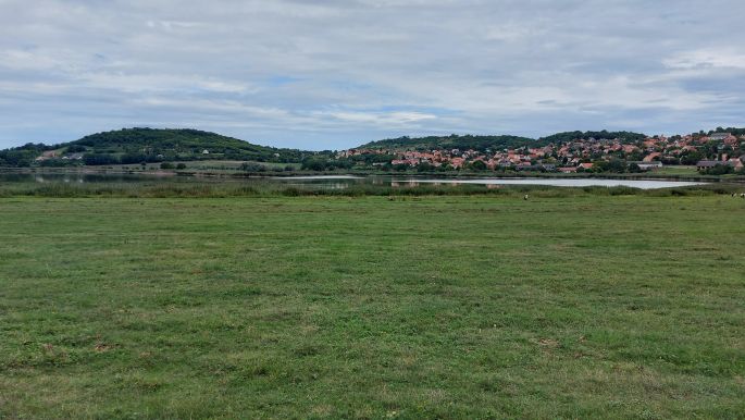 El Camino helyett Balaton túra - Tihanyi félsziget, a Belső-tó szürkemarhák nélkül