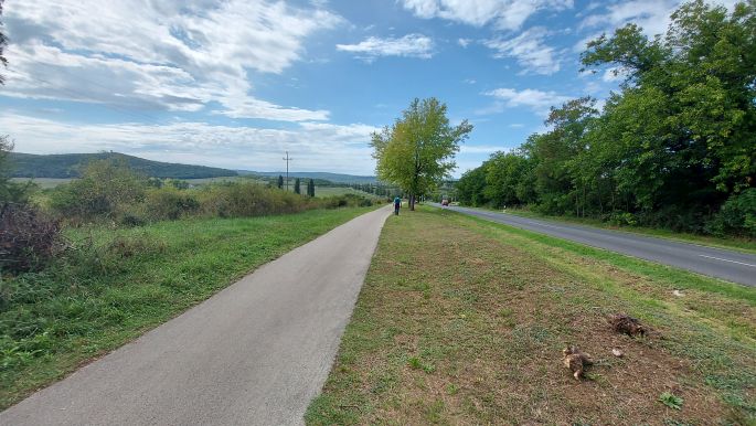 El Camino helyett Balaton túra - Tihanyi félsziget, vissza Aszófő felé a bicikliúton, akarom mondani a mellette lévő füves sávon