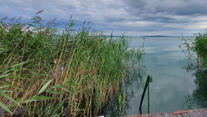 Balaton túra, Zánka, a gyönyörű víztükör és a nádas.