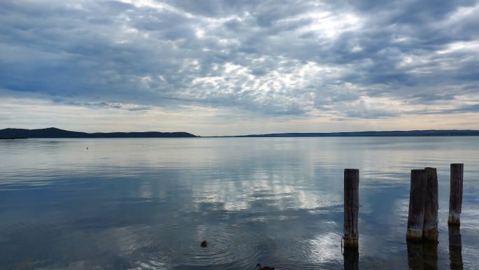 Balaton túra, felhős ég, nyugodt víztükör és kiskacsák.