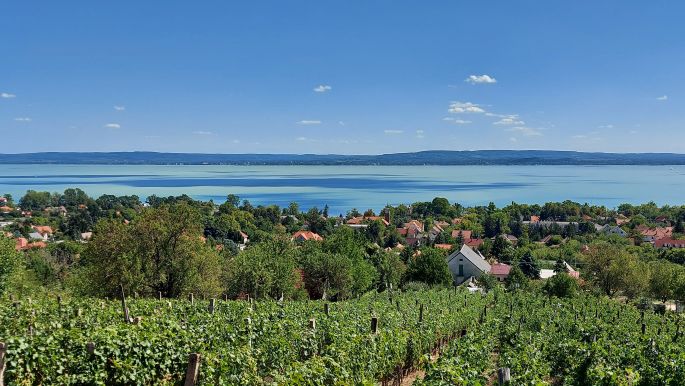 Balaton túra, úton Révfülöp felé, kilátás a Balatonra