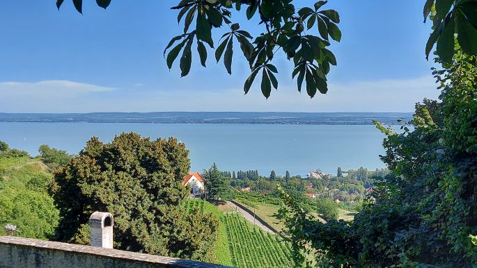 16_el_camino_helyett_balaton_badacsony.jpg