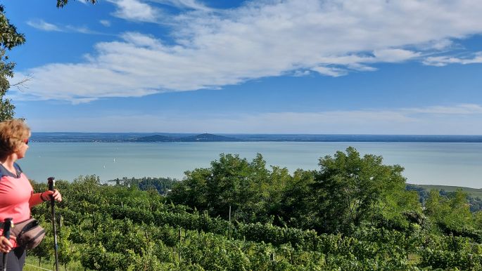 18_el_camino_helyett_balaton_badacsony.jpg