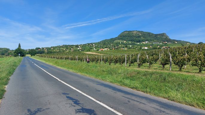 Balaton túra, országút, jobbra pedig Erika a szőlőlugasok előtt sétálva