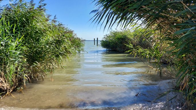 Balaton túra, Vonyarcvashegy, a part nádassal