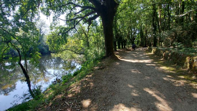 Camino de Muxía, Río Tambre 