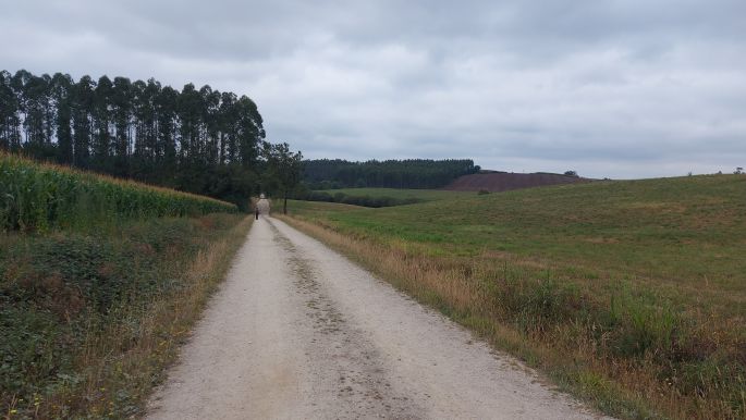 Camino Muxía, út