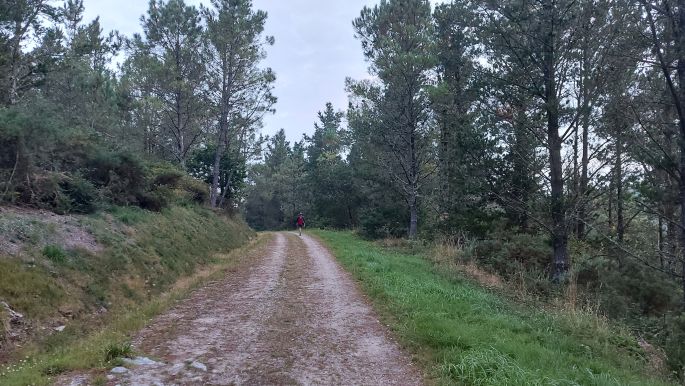 Camino de Muxía, erdei út