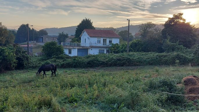 Camino de Muxía, legelésző ló