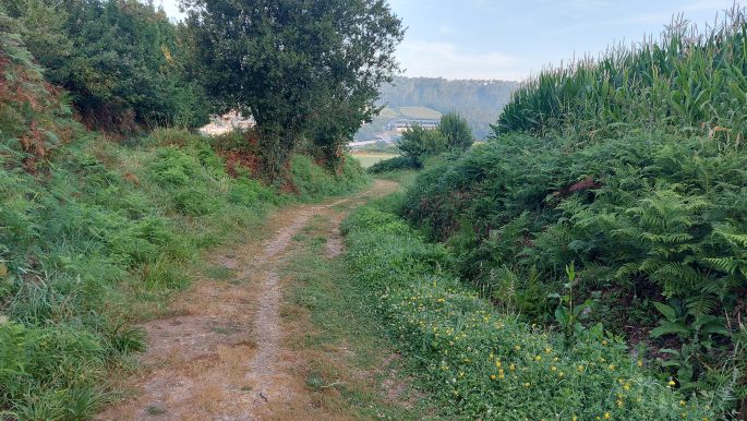 Camino de Muxía, út az óceán felé