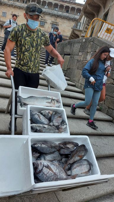 Santiago de Compostela, friss hal érkezik a katedrálishoz közeli étterembe