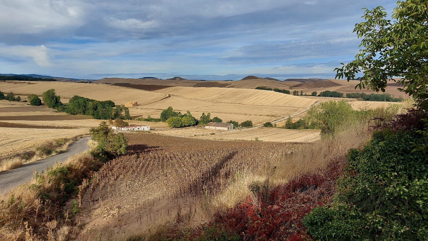 El Camino, Francia út, Grañón utáni kilátó