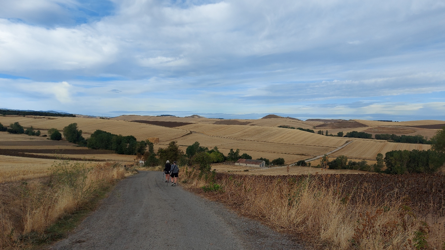 El Camino, Francia út, Grañón utáni kilátó, az úton Saci és Piroska