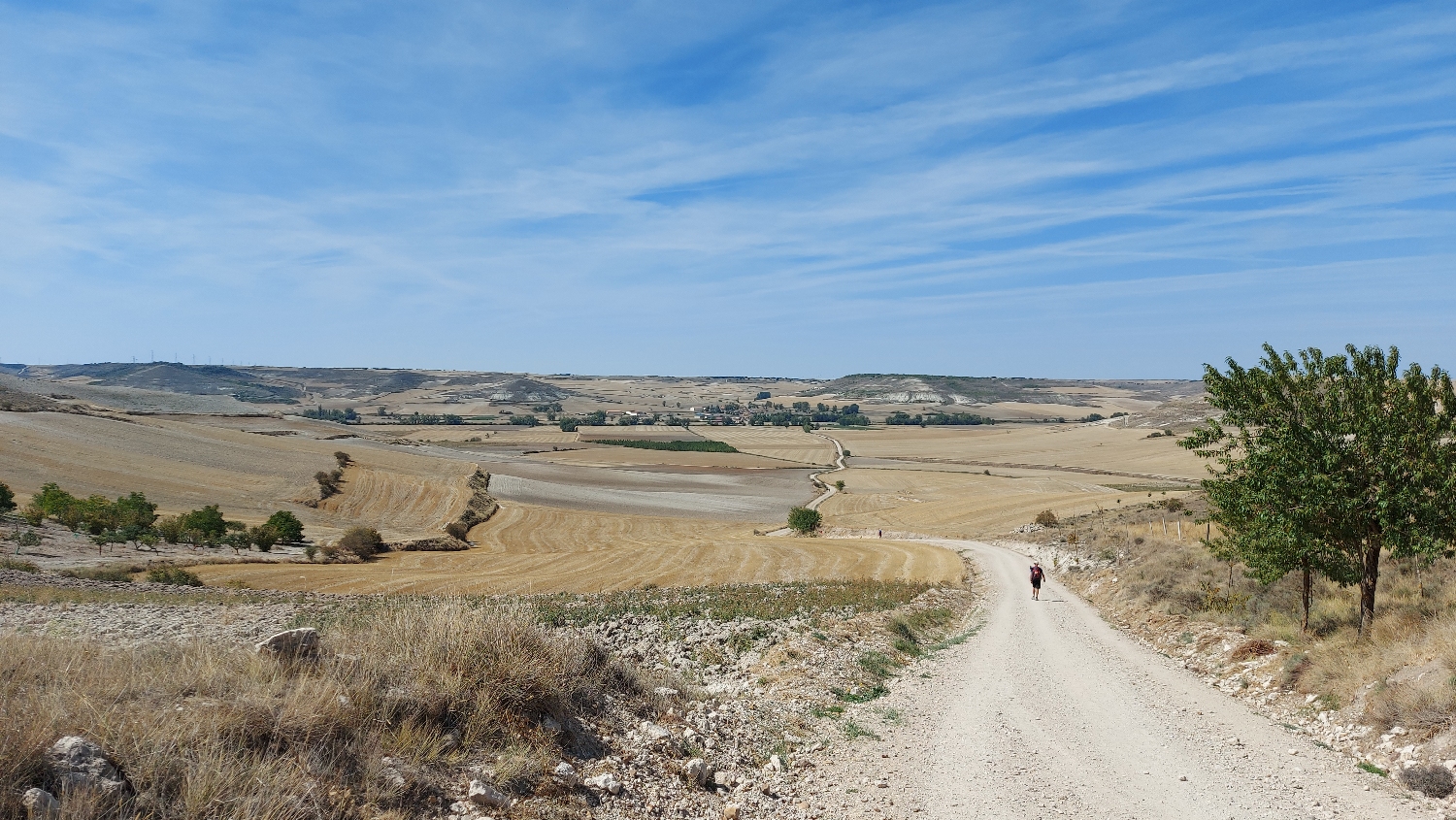 6_el_camino_francia_ut_meseta.jpg