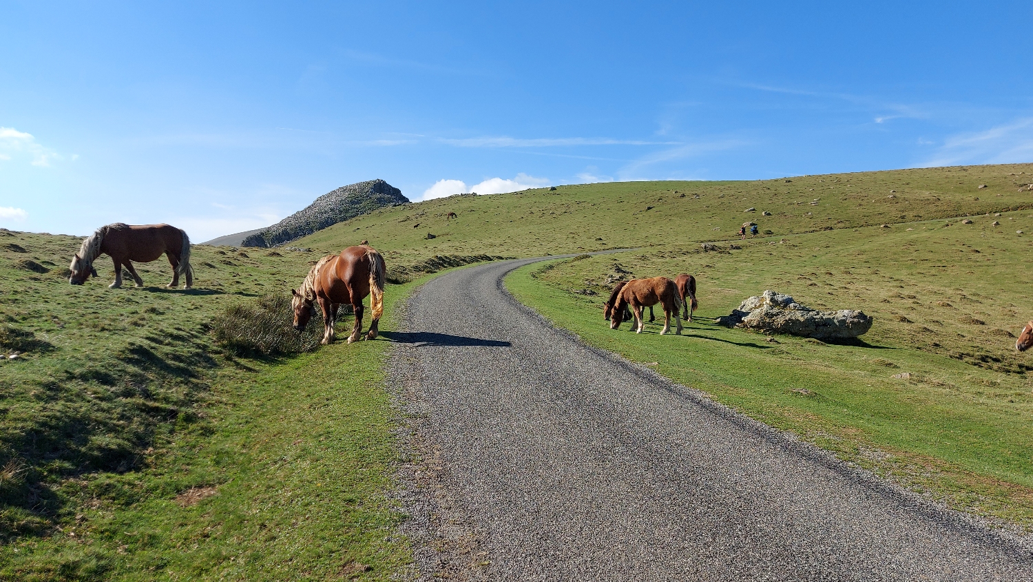 El Camino, Francia út, még mindig felfelé