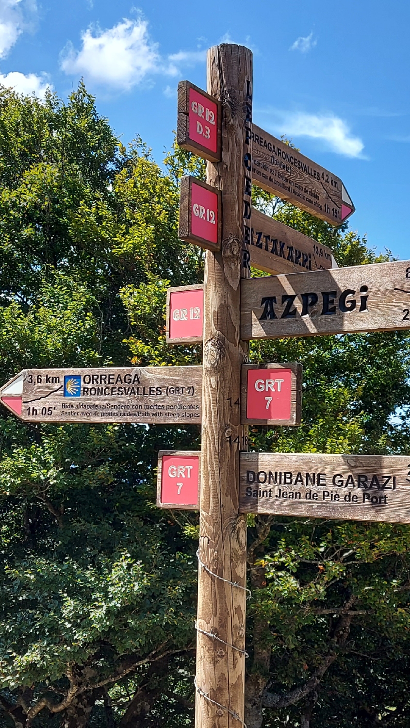 El Camino, Francia út, az a bizonyos útjelző tábla, amely Roncesvallesbe (is) mutatja az utat