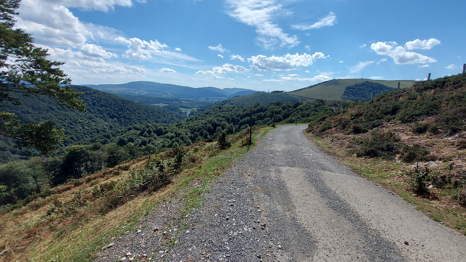El Camino, Francia út, a lankásabb út, amely végre lefelé vezet már Roncesvalles irányába