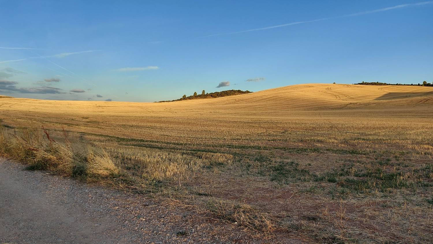 El Camino, Francia út, széles gyalogút, aranyló búzatáblák, napfelkelte