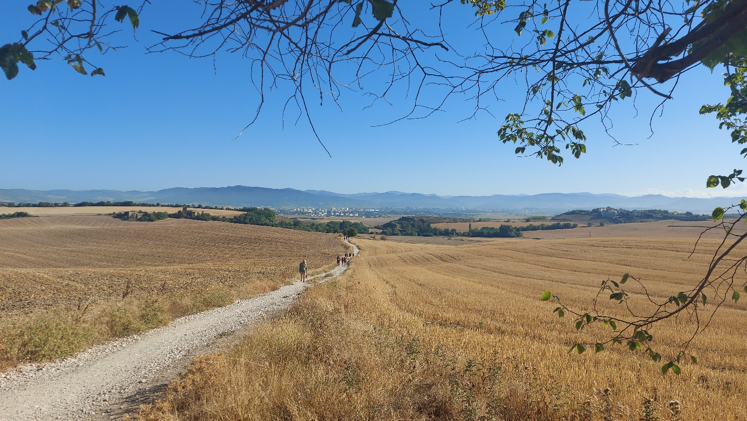 El Camino, Francia út, gyalogösvény Pamplona után, az Alto de Perdón előtt
